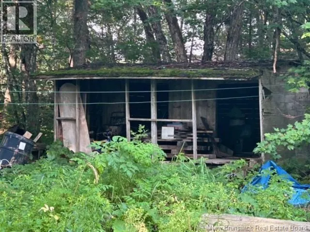 11 Dale Aubin Lane
