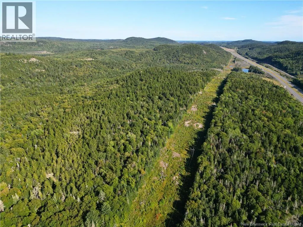 Land Highway 1