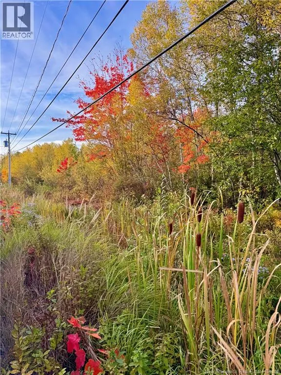 Vacant Lot Route 430