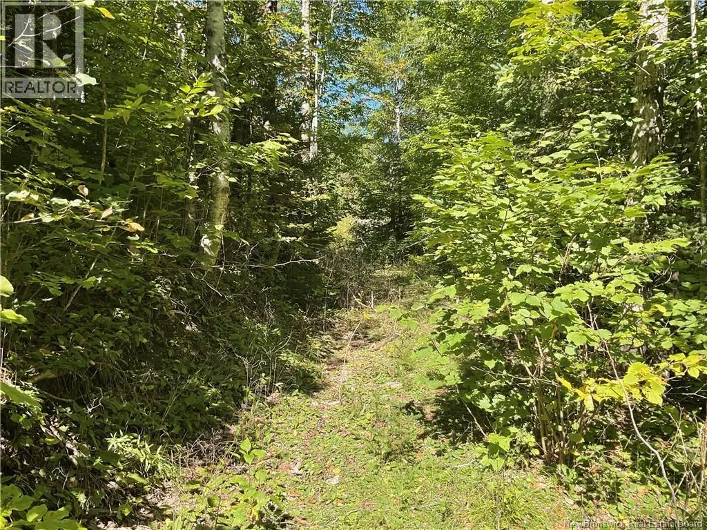 449 Harriet ORee Road