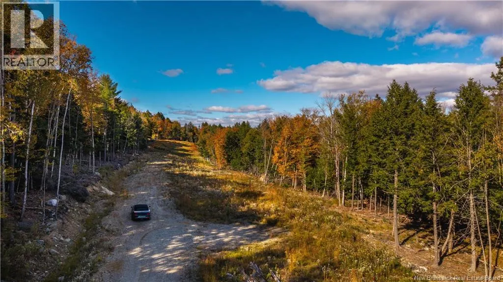 Hills Road
