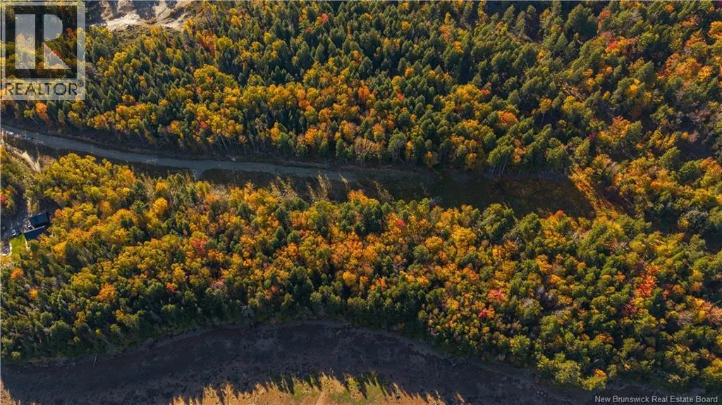 Hills Road