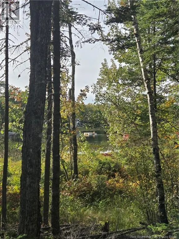 Lot Hazen Lane