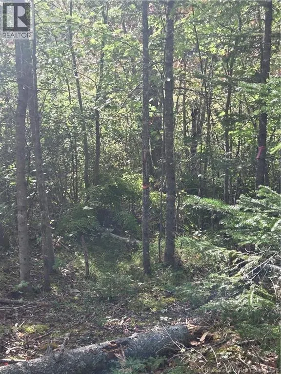 Lot Hazen Lane