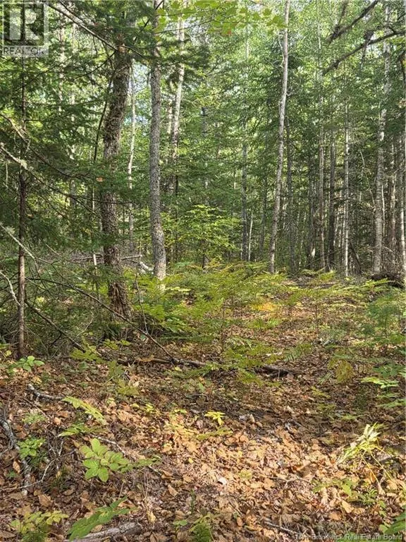 Lot Hazen Lane