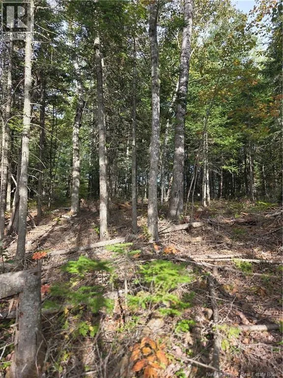Lot Hazen Lane