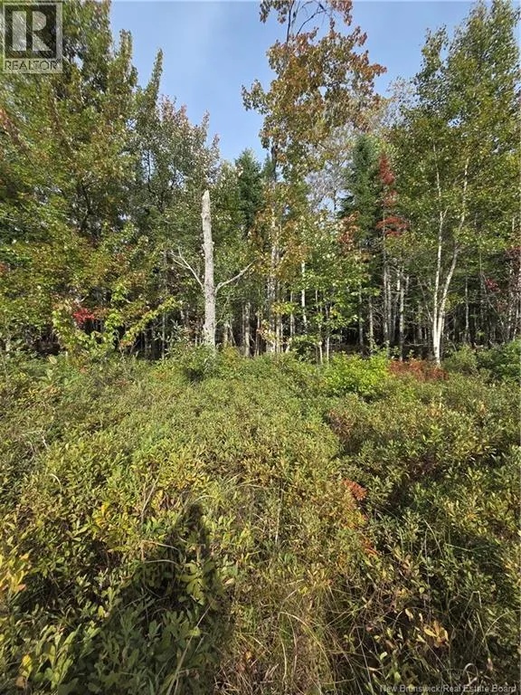 Lot Hazen Lane