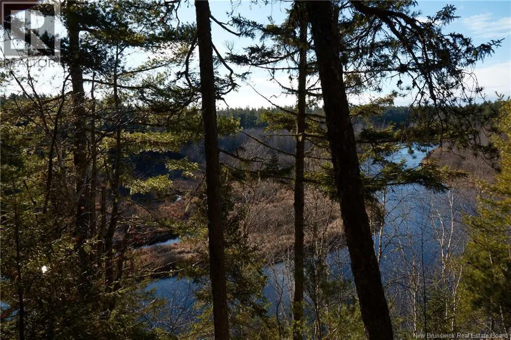 / Grand Lake Road