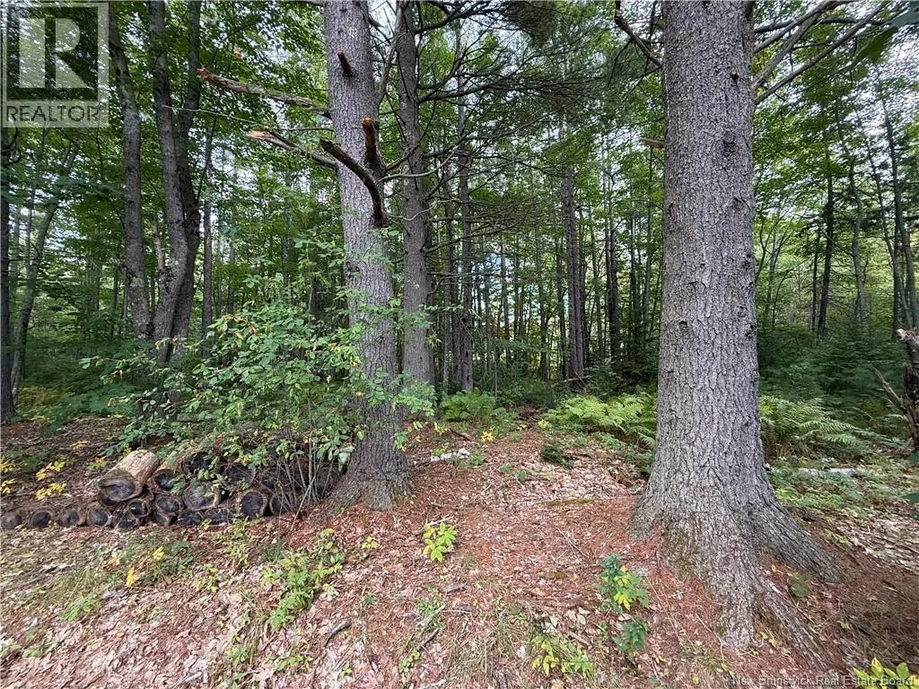 Lot 6 Pine Grove Lane