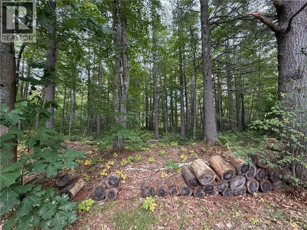 Lot 6 Pine Grove Lane