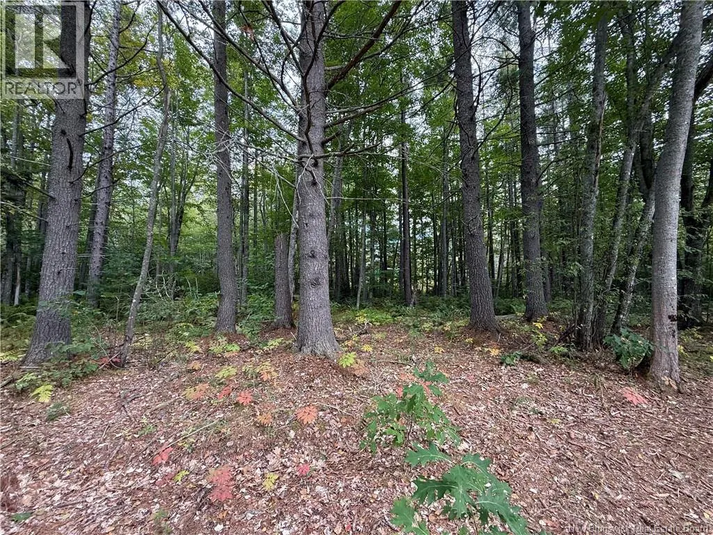 Lot 6 Pine Grove Lane