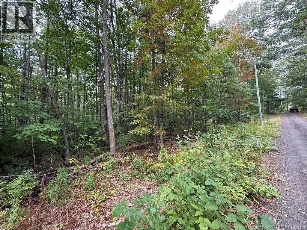 Lot 6 Pine Grove Lane