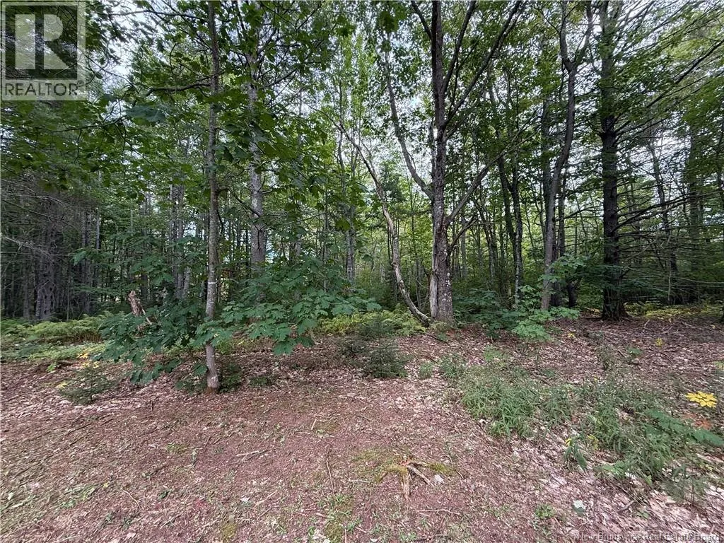 Lot 6 Pine Grove Lane