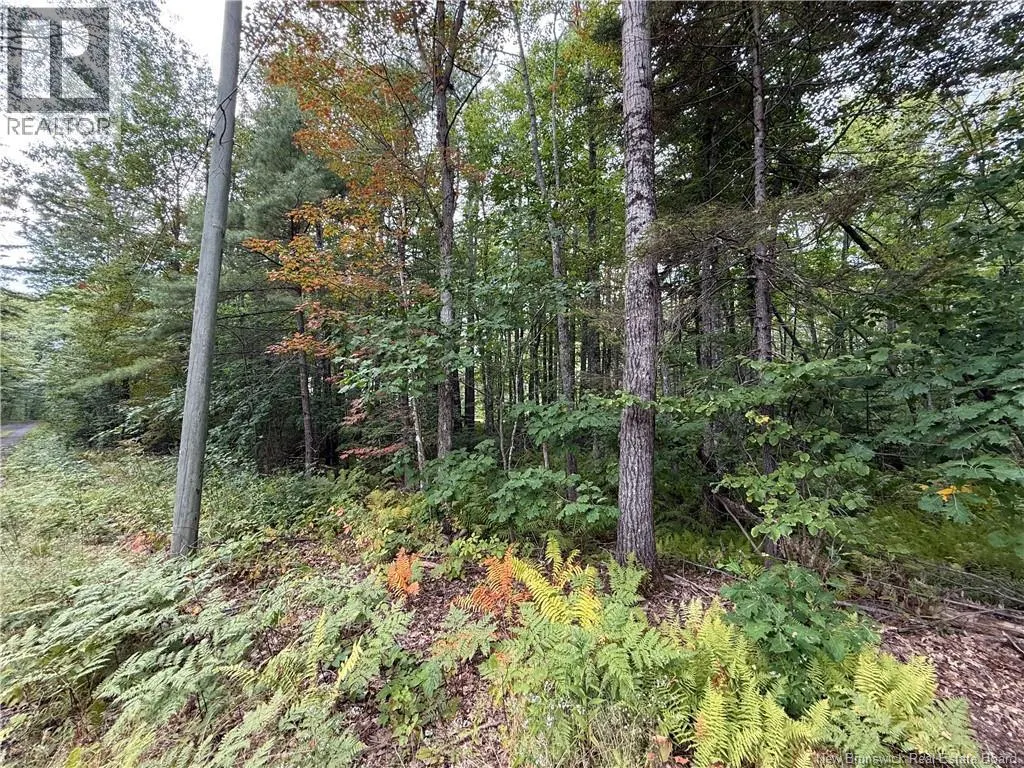 Lot 6 Pine Grove Lane