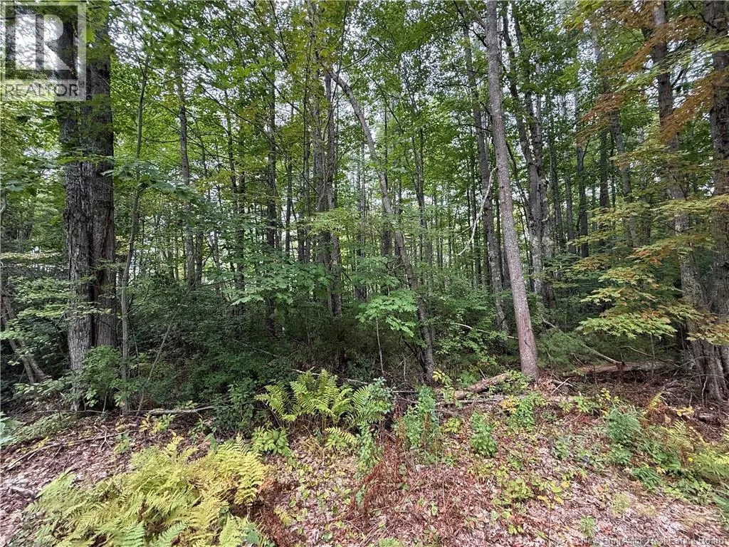 Lot 6 Pine Grove Lane