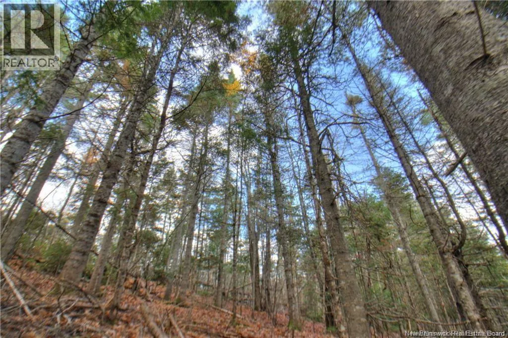LOT 24-8 Creekview Lane