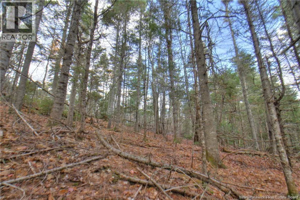 LOT 24-9 Creekview Lane