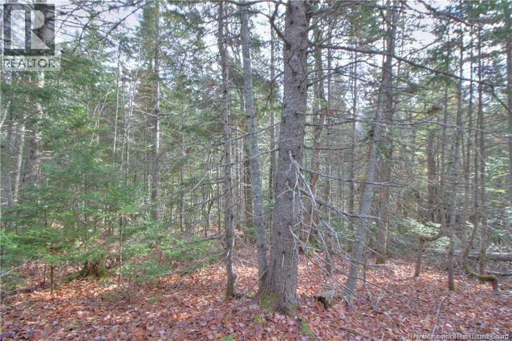 LOT 24-9 Creekview Lane