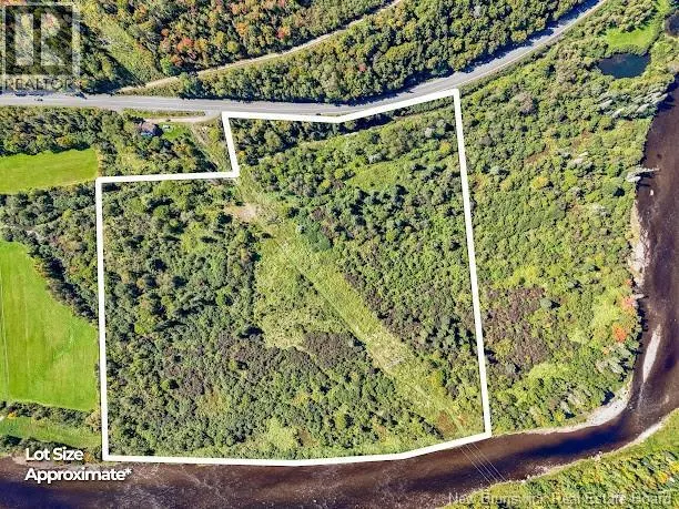 Lot 198 Route 107