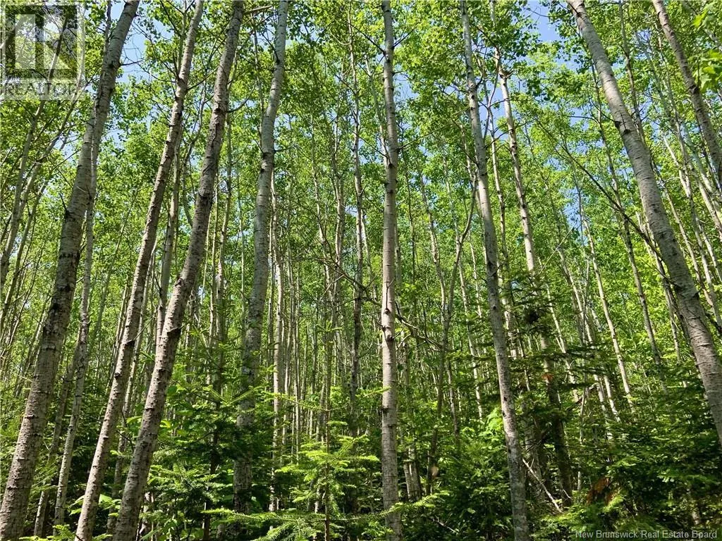 Lot NORTH BLACK RIVER