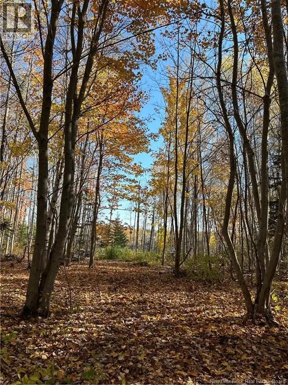 Lot NORTH BLACK RIVER