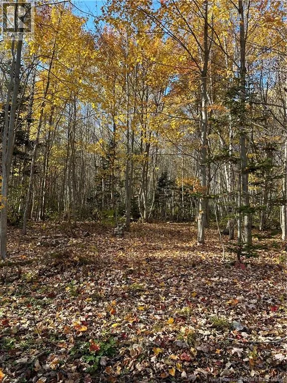Lot NORTH BLACK RIVER