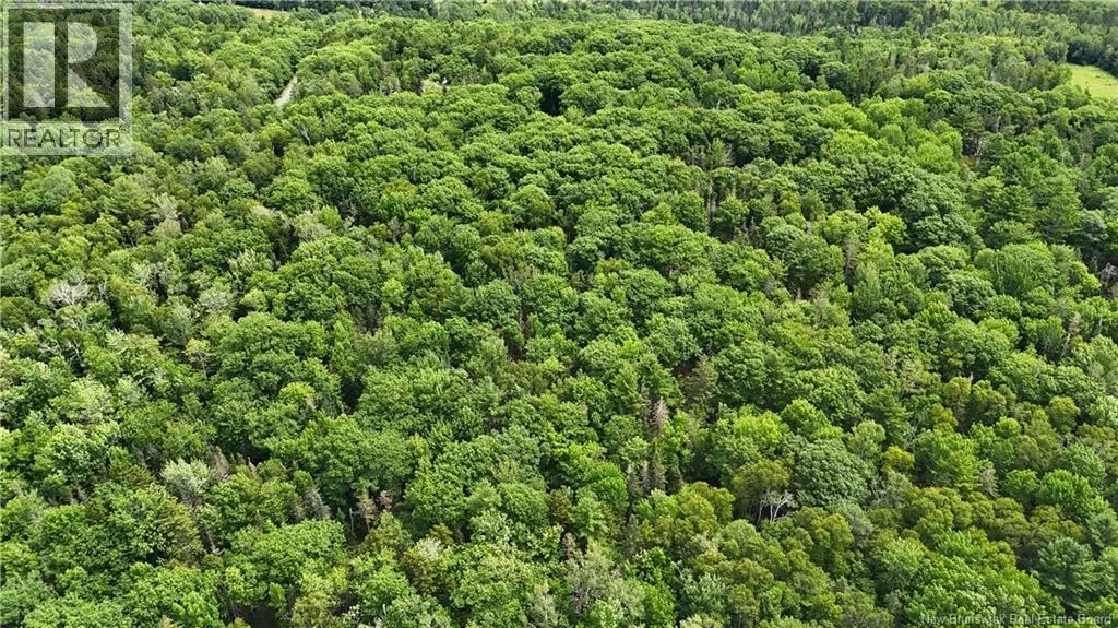 Lot 12-2 Hills Point Road