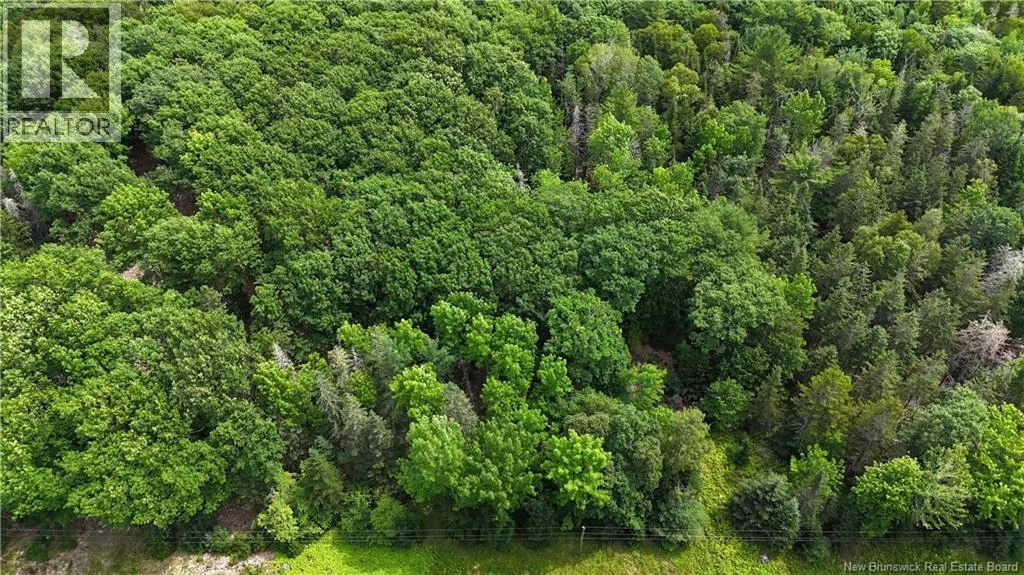 Lot 12-2 Hills Point Road