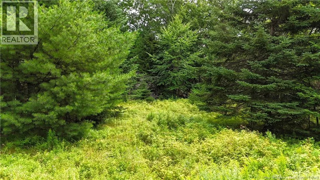Lot 12-2 Hills Point Road