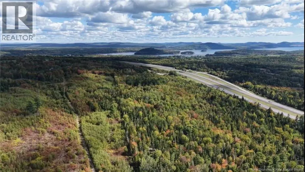 Saint David Ridge Road