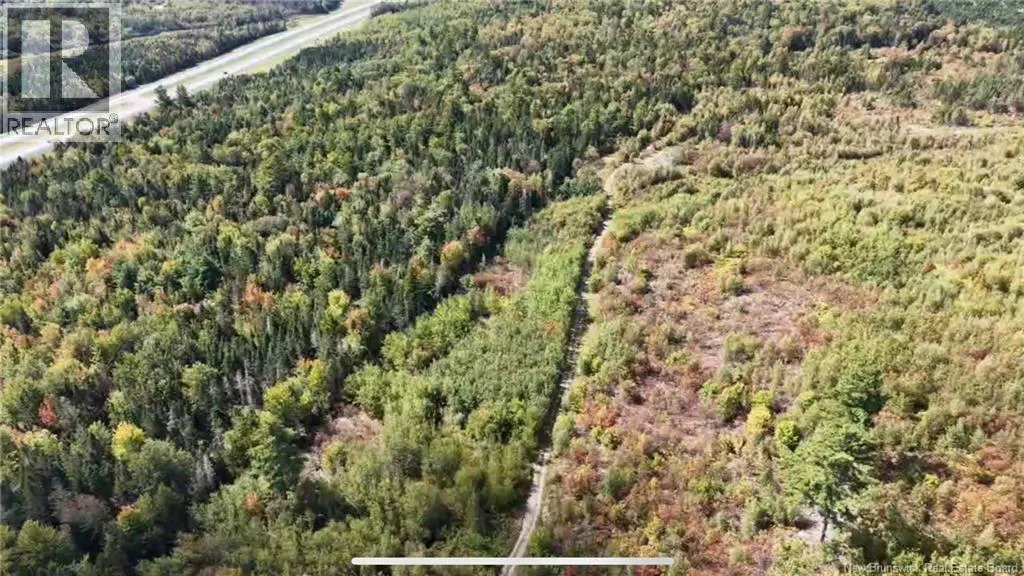 Saint David Ridge Road