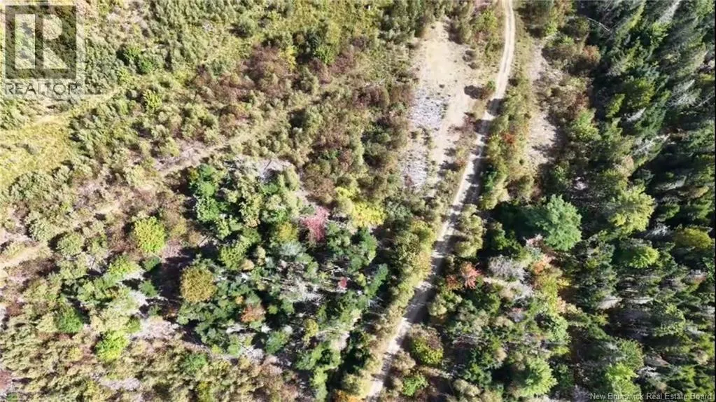 Saint David Ridge Road