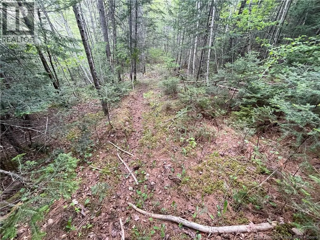00 MILL SETTLEMENT Road