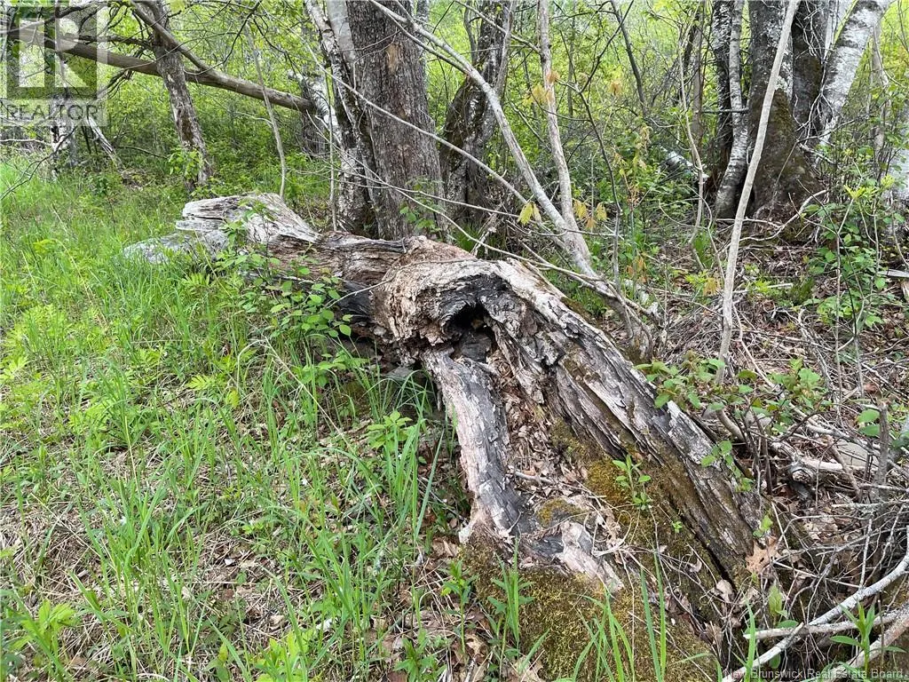 00 MILL SETTLEMENT Road