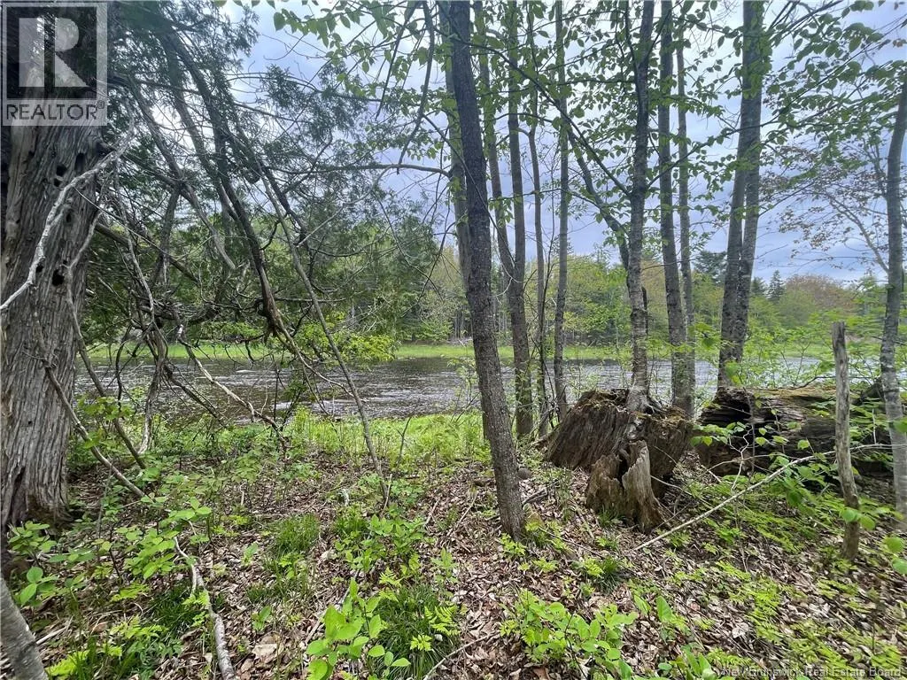 00 MILL SETTLEMENT Road