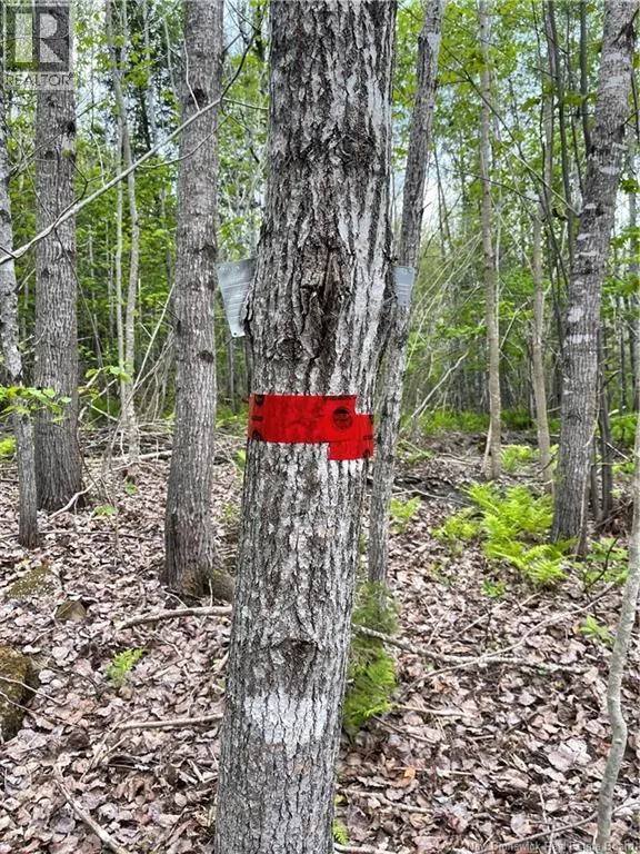 00 MILL SETTLEMENT Road