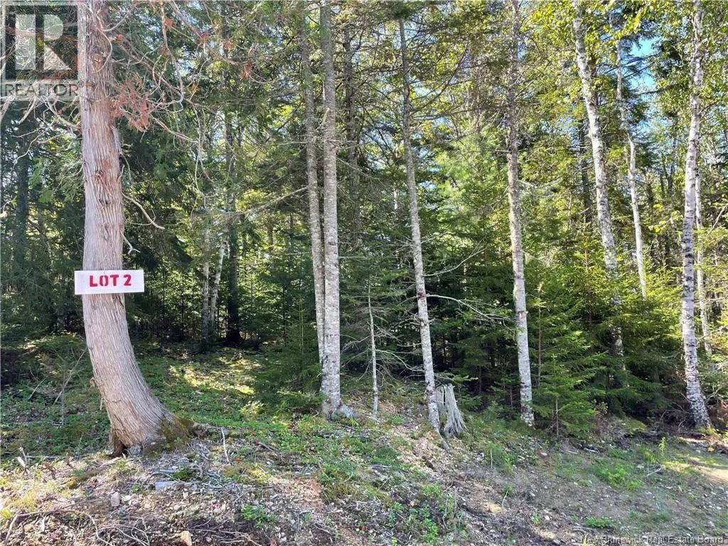 Osprey Lane