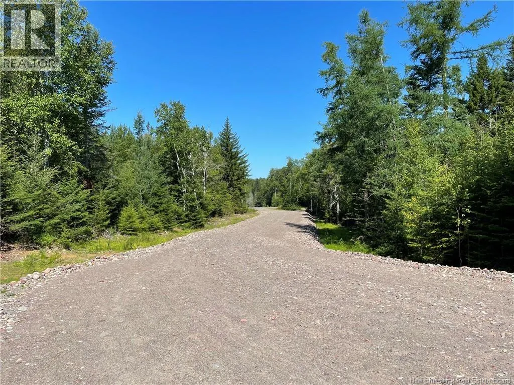 Osprey Lane