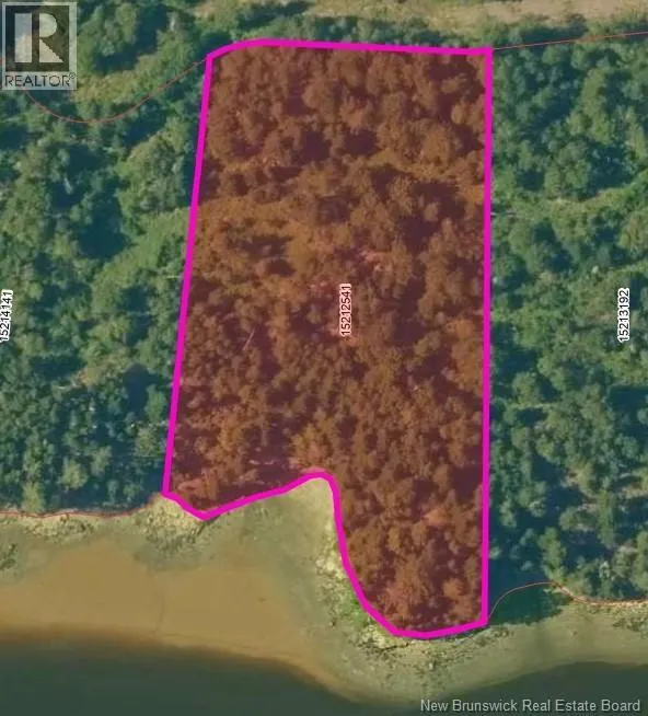 Osprey Lane