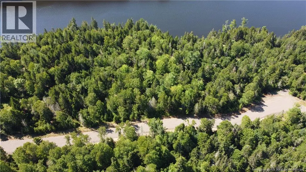 Osprey Lane