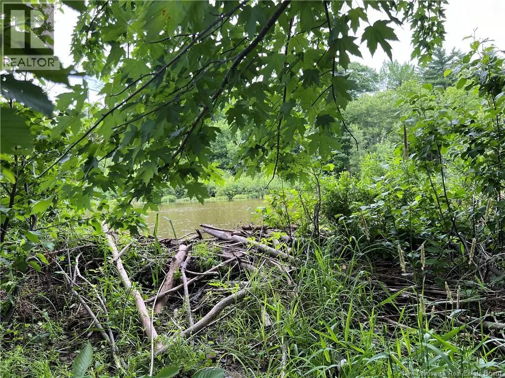 Vacant lot Lakeview Road