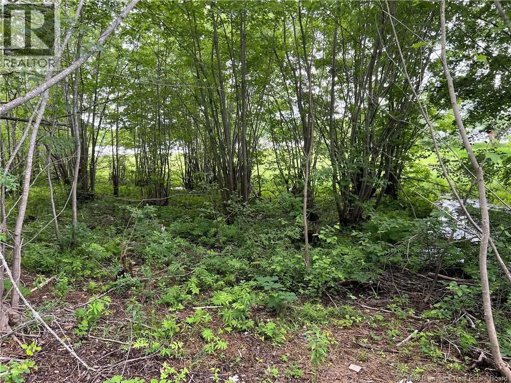 Vacant lot Lakeview Road