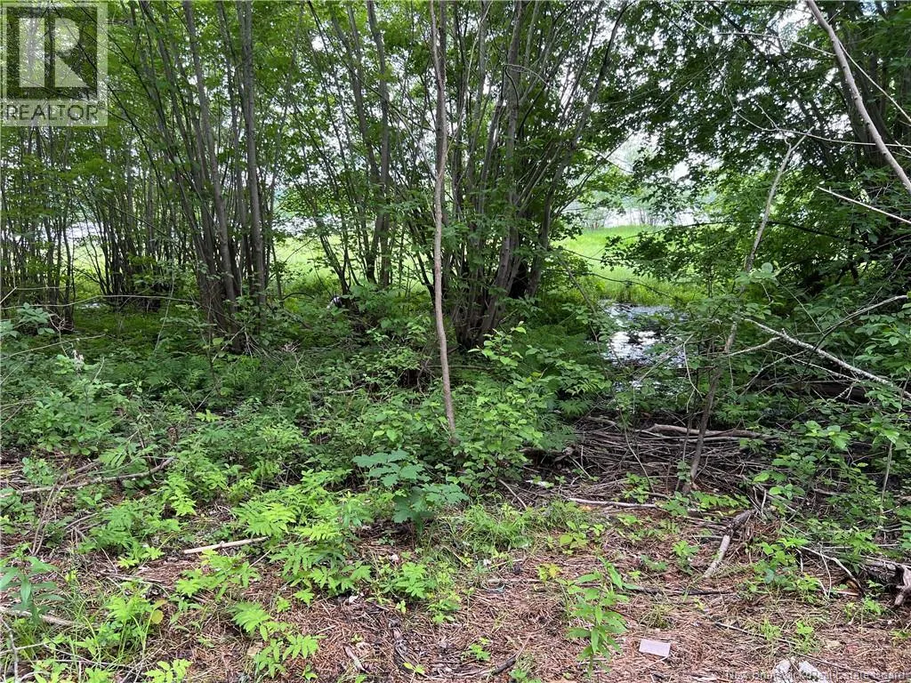 Vacant lot Lakeview Road