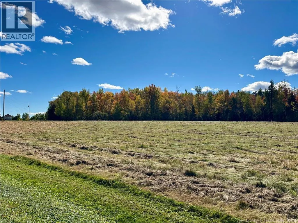 1056 N. Black River Road