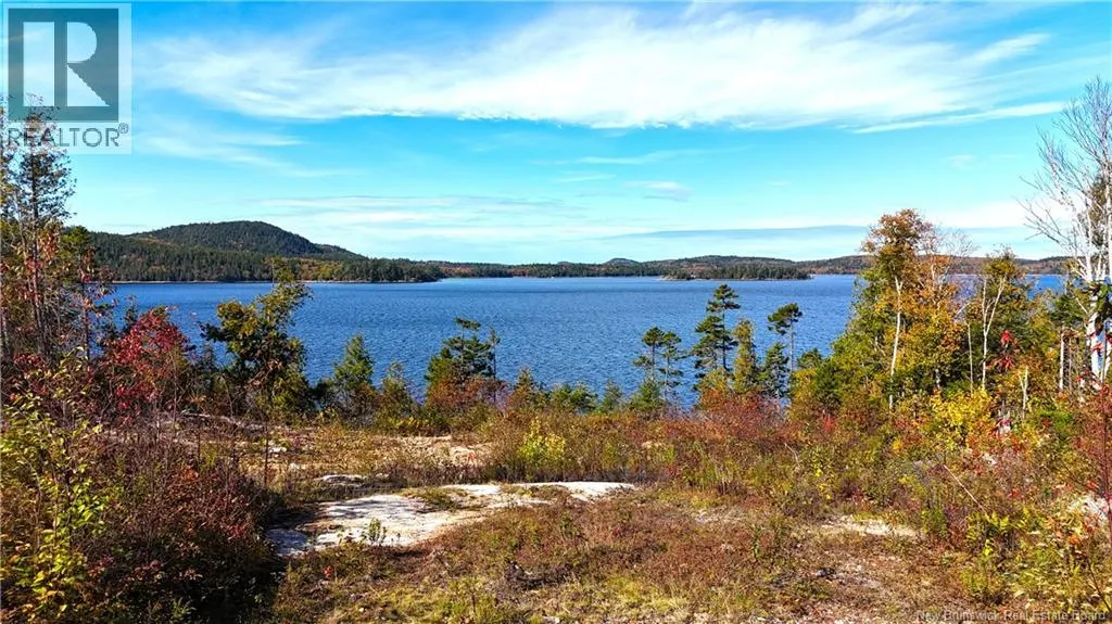 Bluff Road