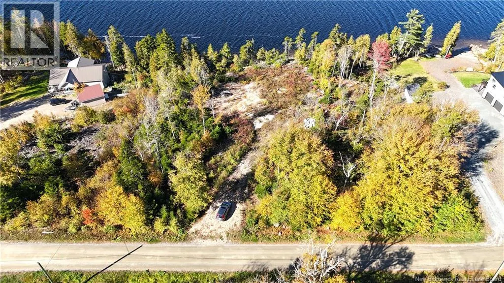 Bluff Road
