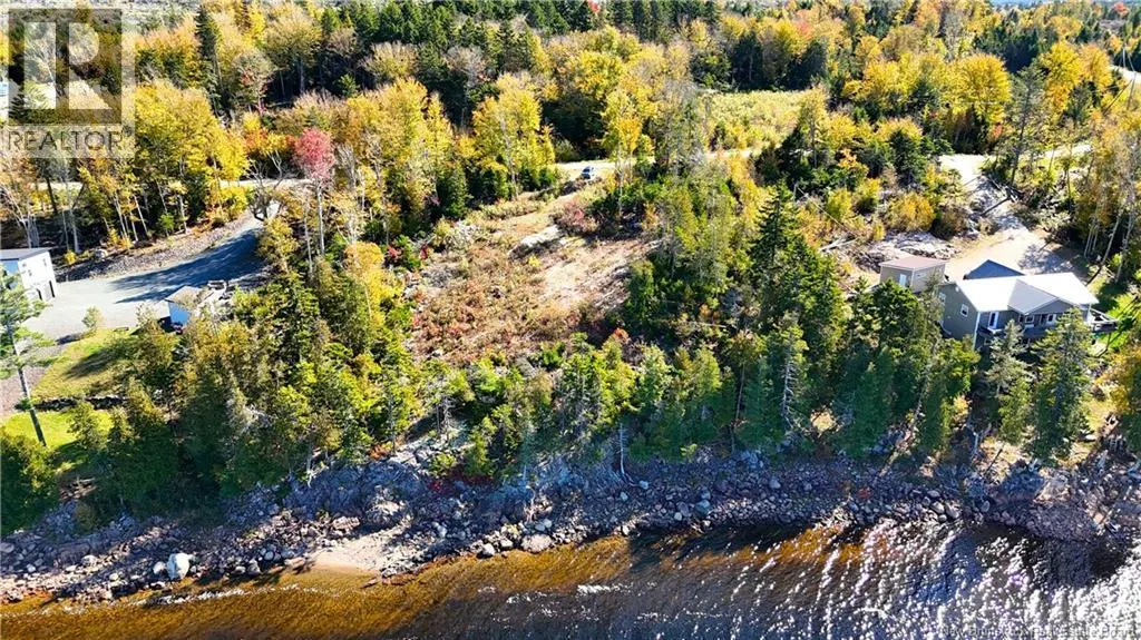 Bluff Road