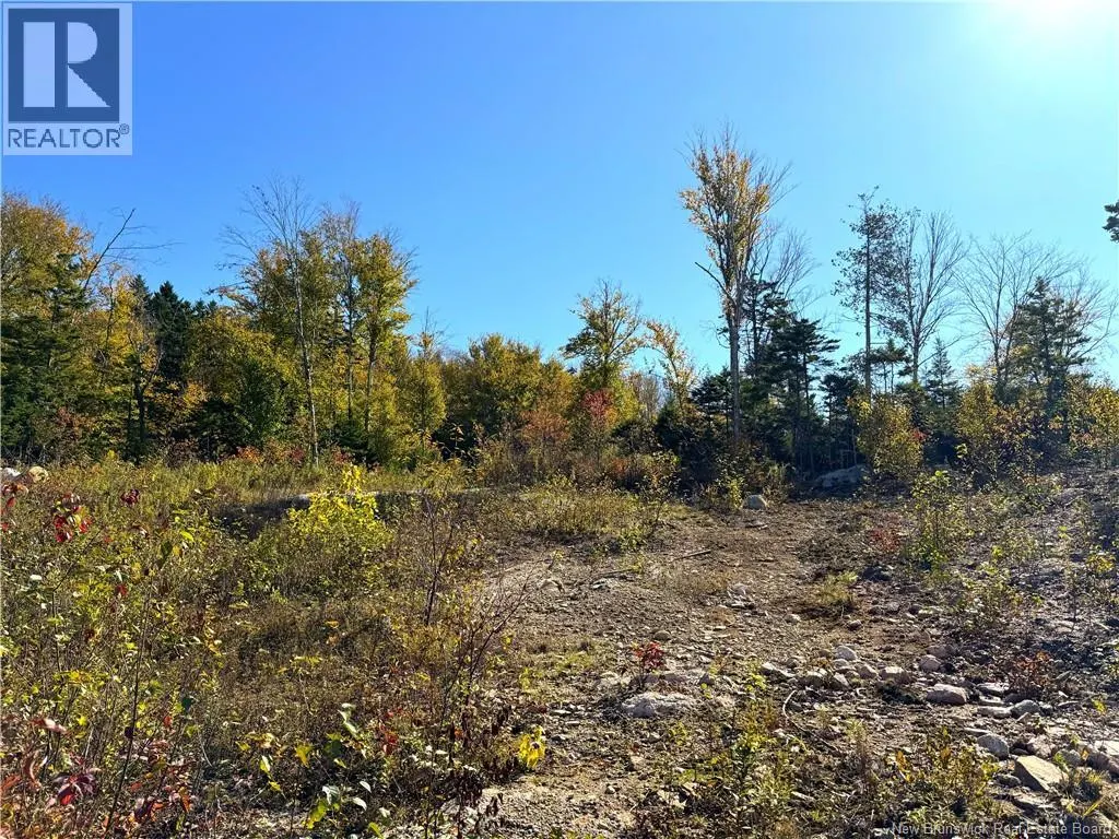 Bluff Road