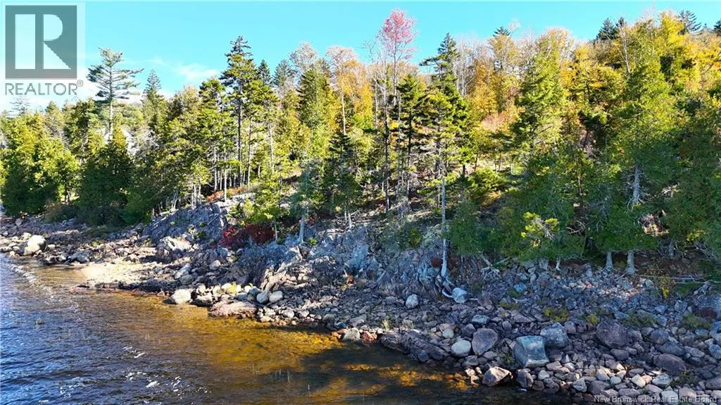 Bluff Road