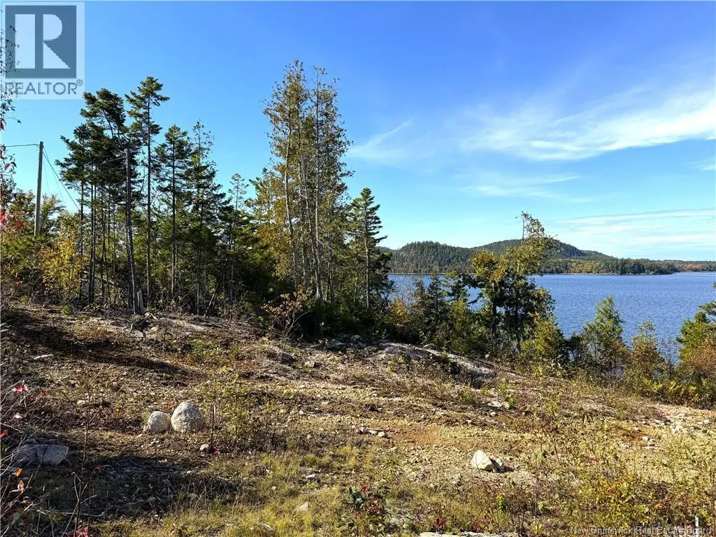 Bluff Road